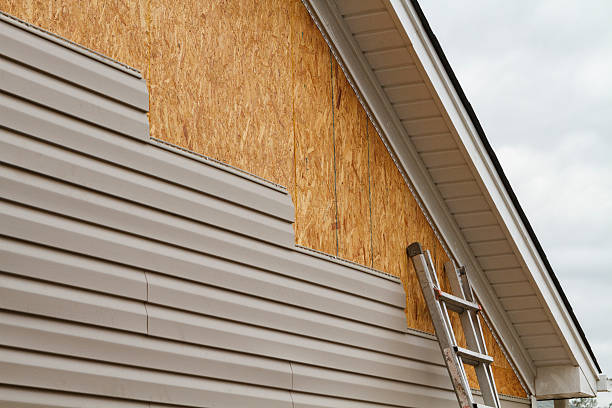 Professional Siding Inspection technician working in Dalton, GA